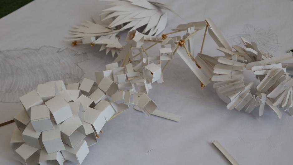 Architecture Design Rules hat' activity offers architecture students real design experience Architecture Design Rules hat' activity offers architecture students real design experience