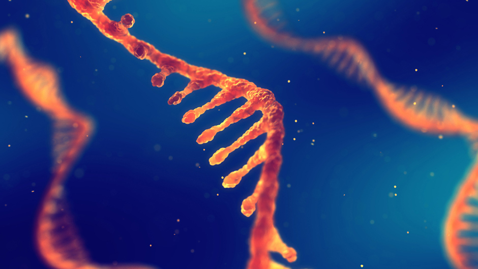 New research from XJTLU advances RNA modification mapping