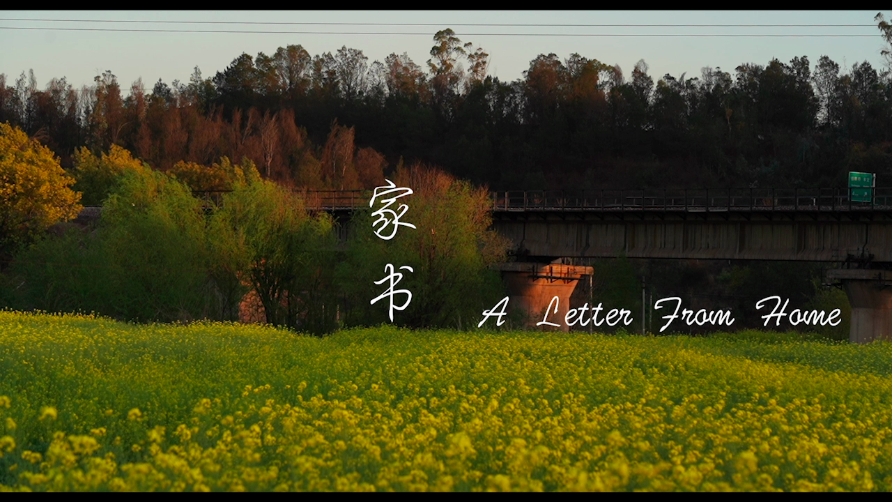 西浦影视艺术学院学生受邀参加第二届昆山杜克大学学生电影节 10月 西交利物浦大学 Xjtlu 西浦影视艺术学院学生受邀参加第二届昆山杜克大学学生电影节 10月 西交利物浦大学 Xjtlu