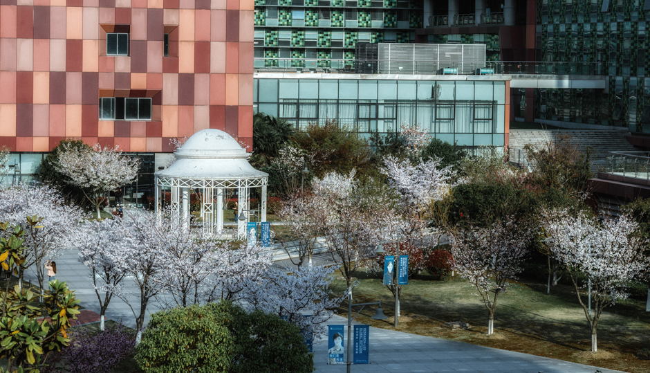西交利物浦大学首登21年泰晤士高等教育亚洲大学排名 新闻 西交利物浦大学 Xjtlu 西交利物浦大学首登21年泰晤士高等教育亚洲大学排名 新闻 西交利物浦大学 Xjtlu