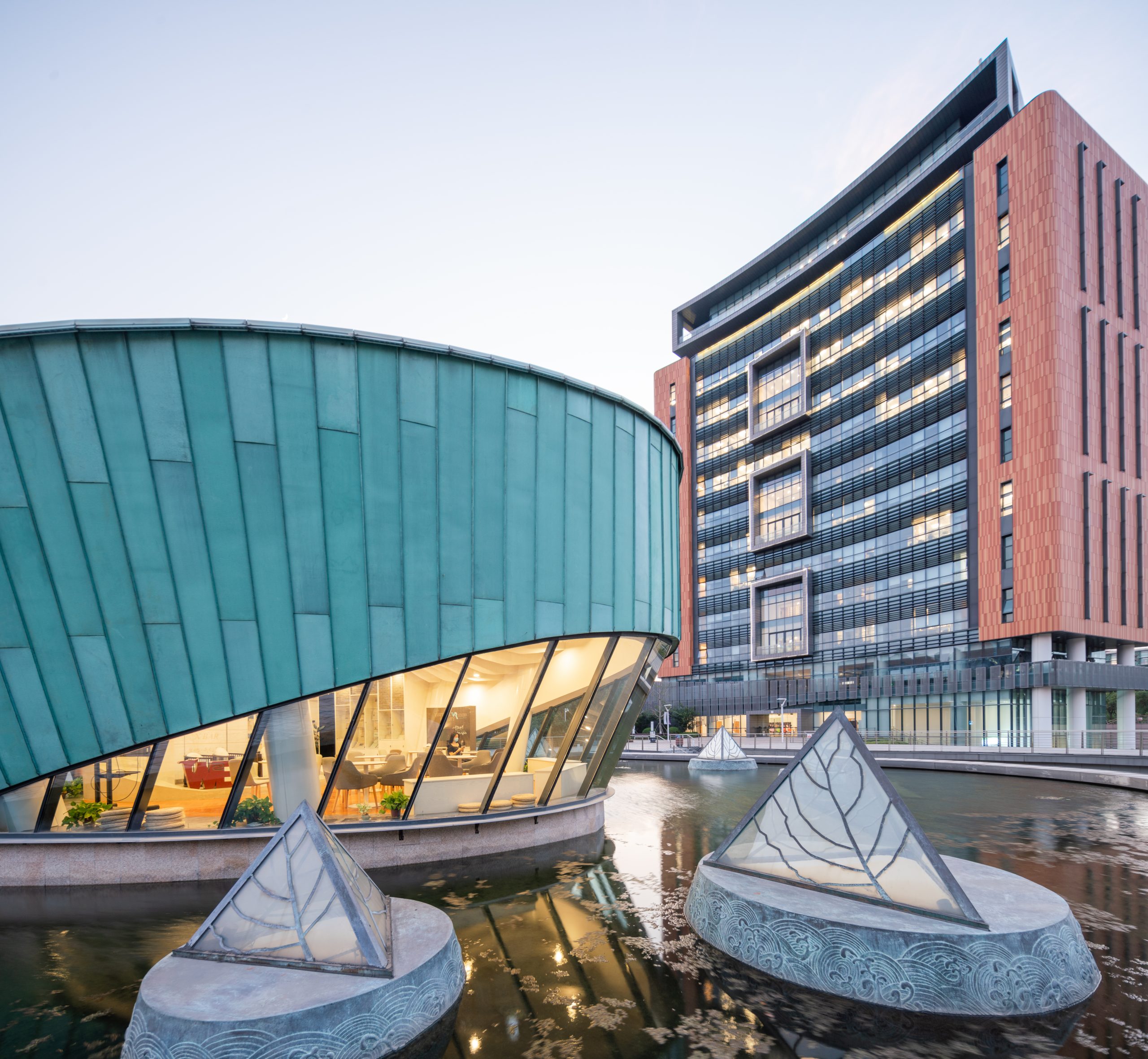 Learning Institute for Future Excellence
