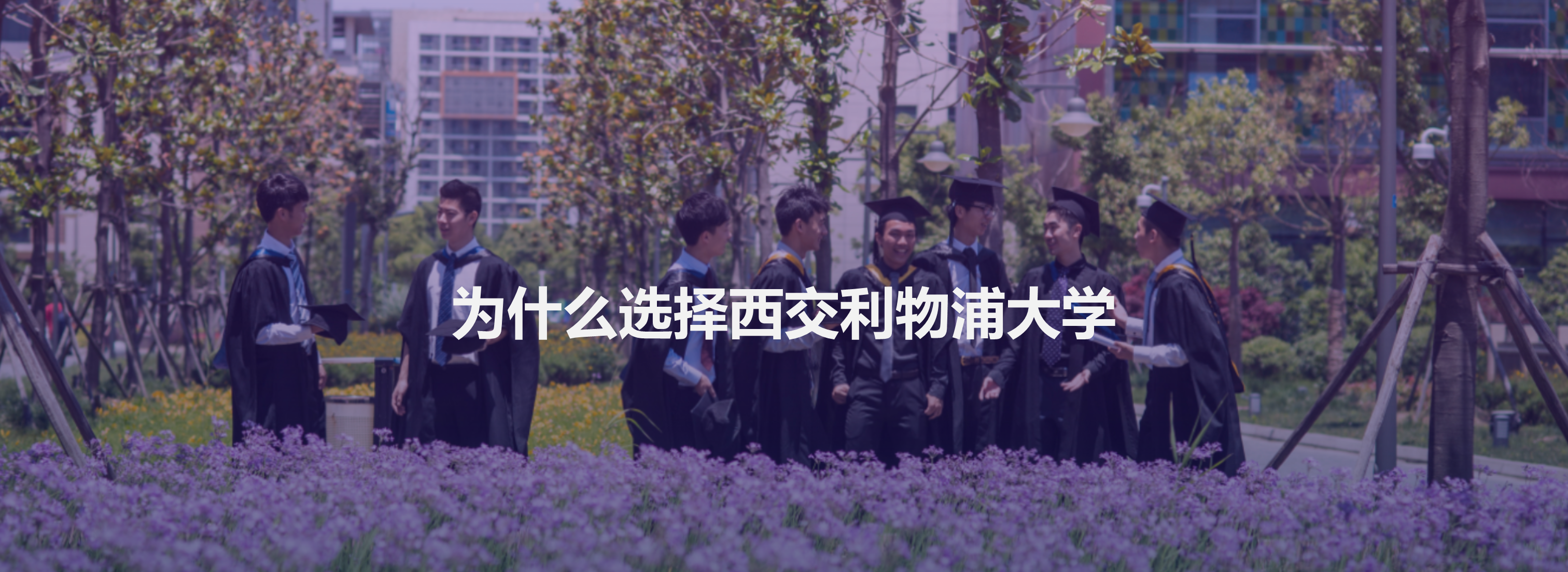 为什么选择西交利物浦大学？