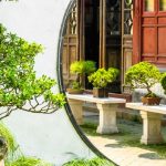China Studies
