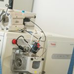分子生物学硕士（研究型）