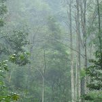 环境科学研究型硕士
