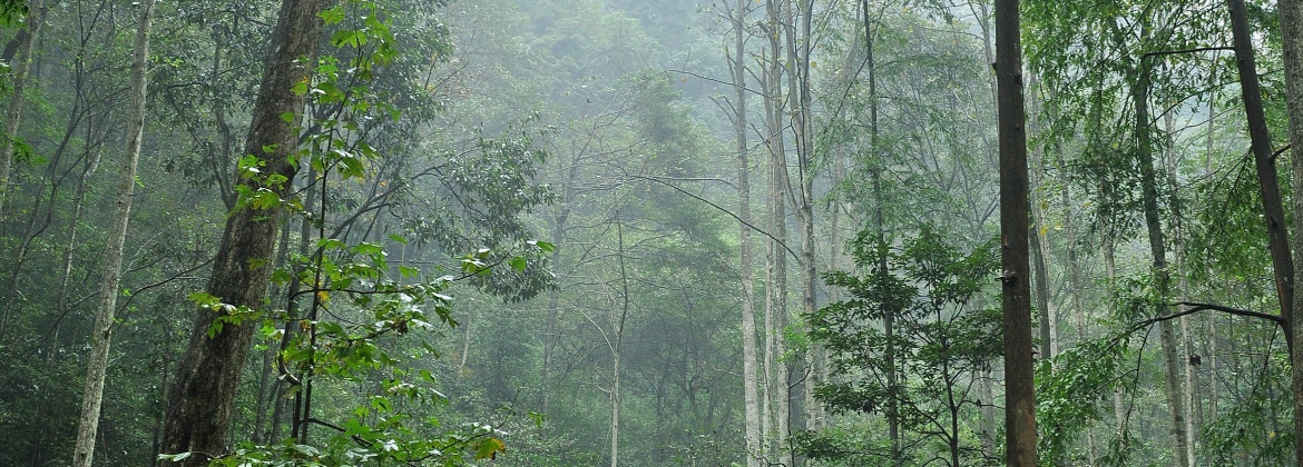 环境科学