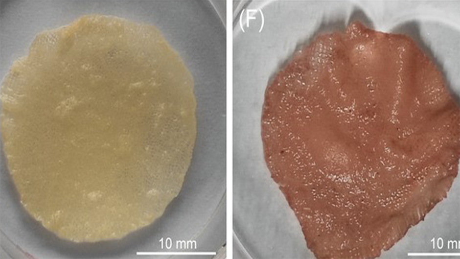 New 3D-printing ink could make cultured meat more cost-effective