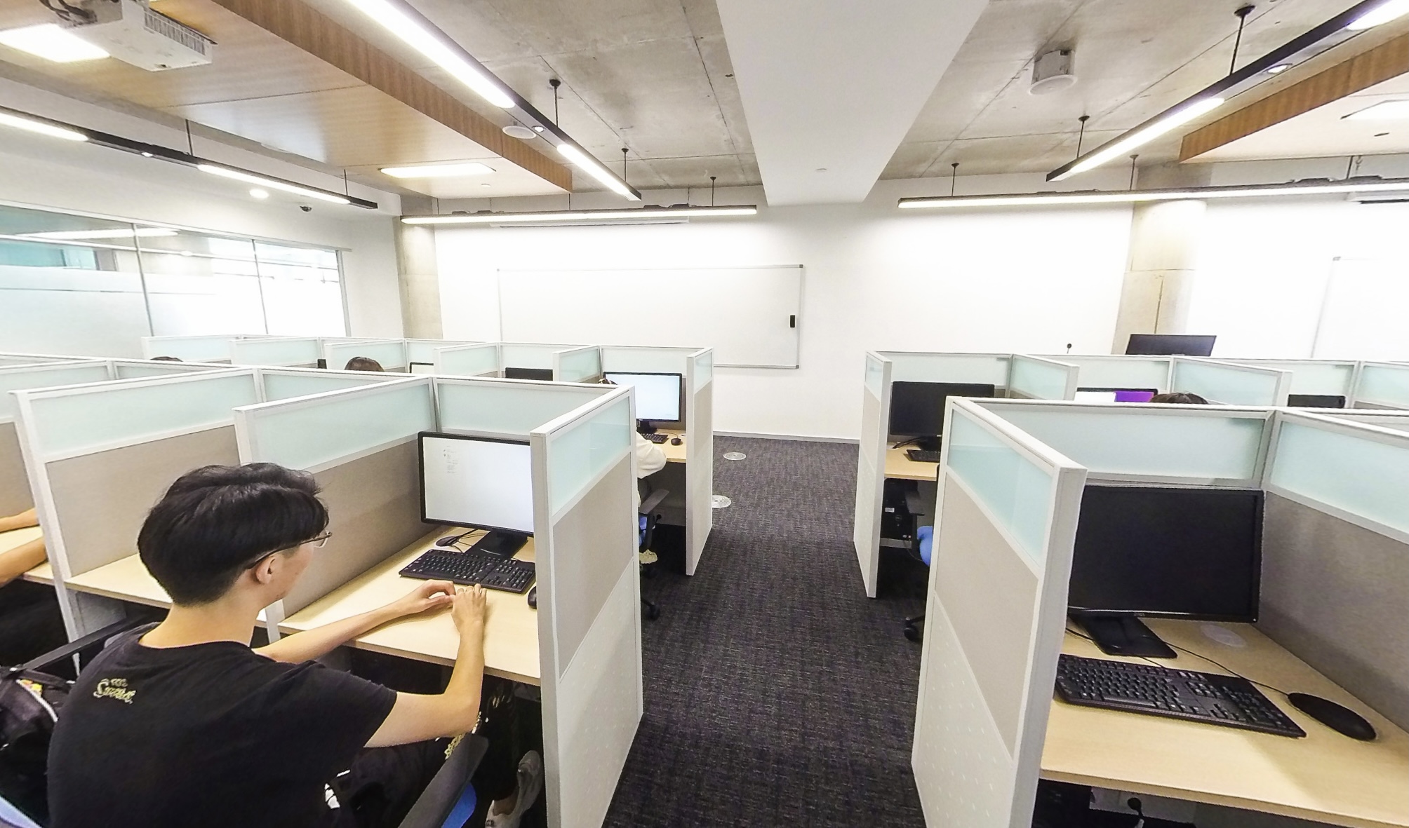 Scholarly and Professional Activities