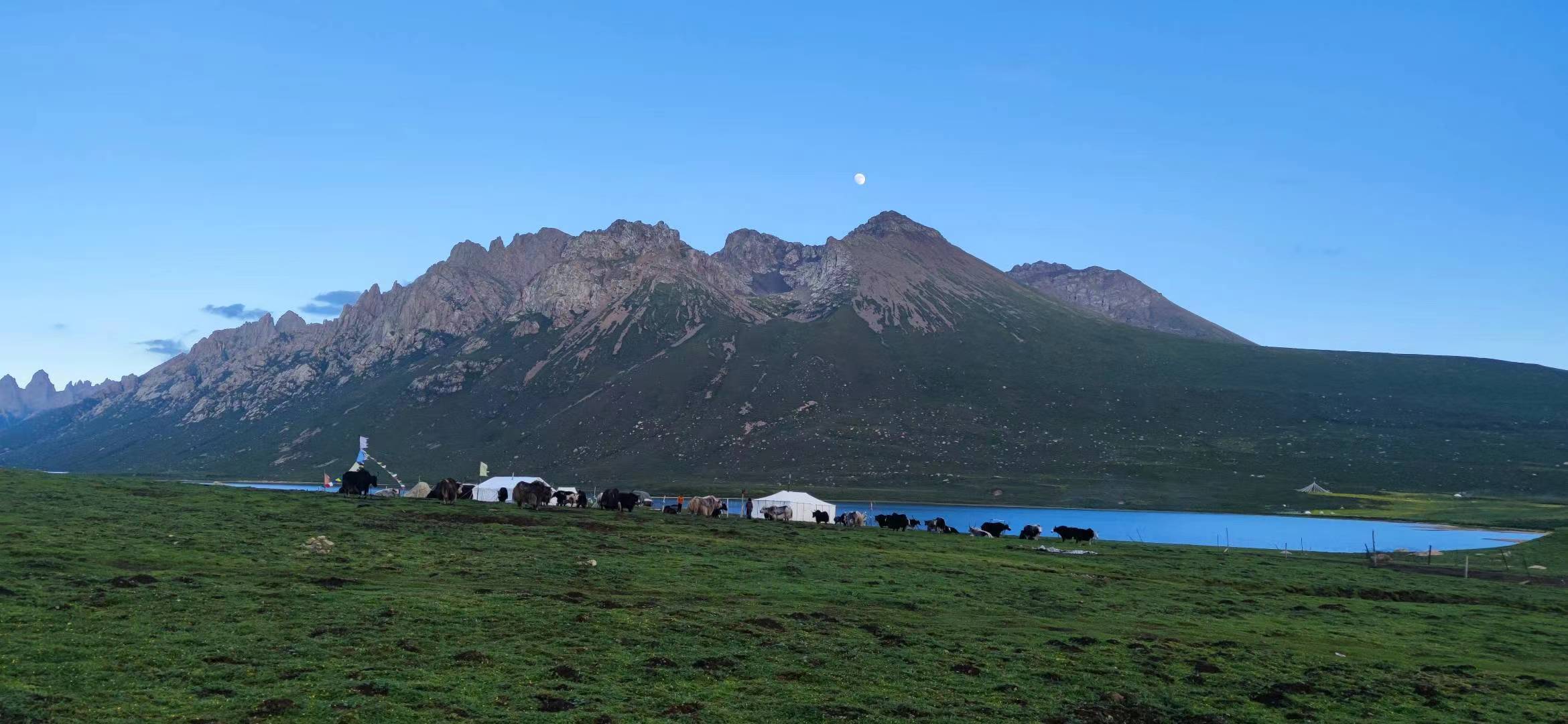 Mountain range with kay camp and cattle on the Qinghai-Tibetan Plateau