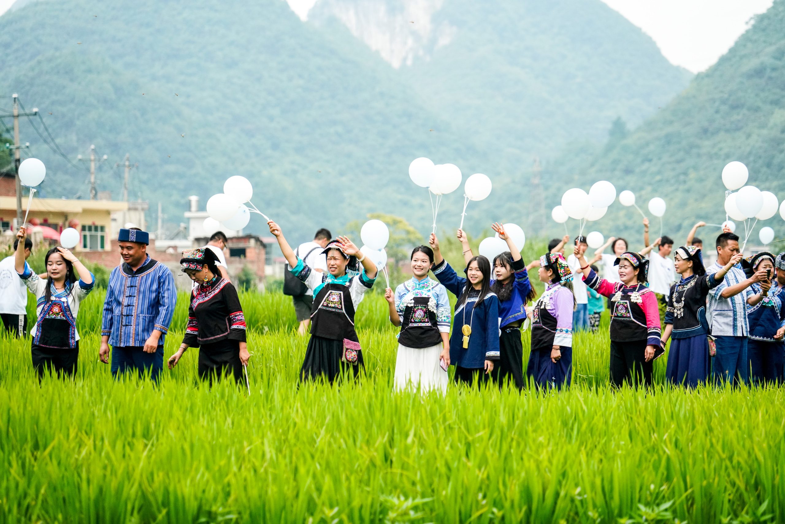 Joint workshop explores rural revitalisation in Guizhou
