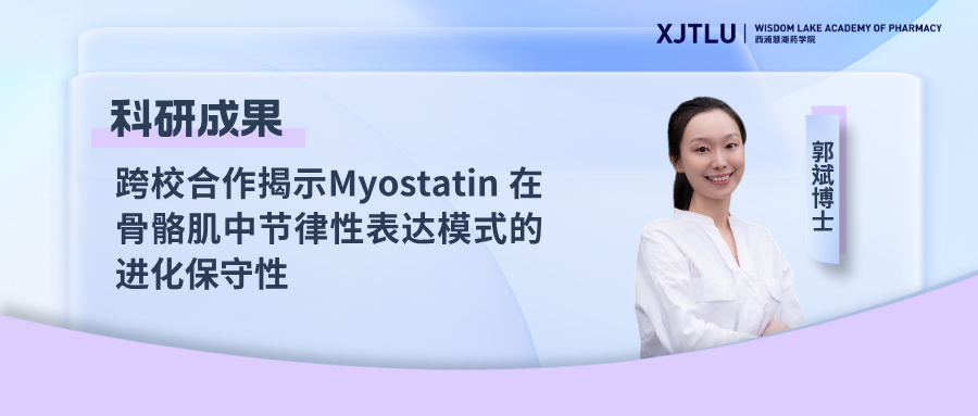 跨校合作揭示Myostatin在骨骼肌中节律性表达模式的进化保守性