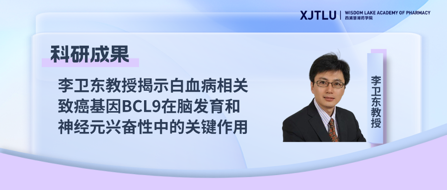 李卫东教授揭示白血病相关致癌基因BCL9在脑发育和神经元兴奋性中的关键作用