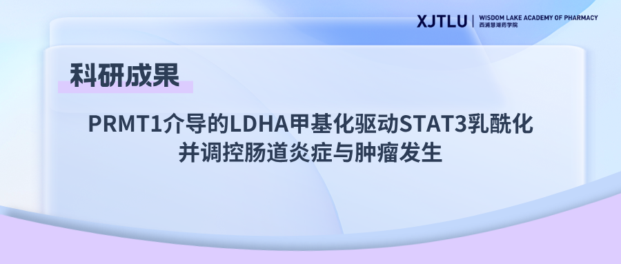 PRMT1介导的LDHA甲基化驱动STAT3乳酰化并调控肠道炎症与肿瘤发生
