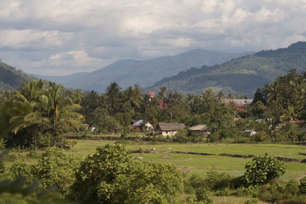 Sustainable Rice Production: Enhancing Global Diversity