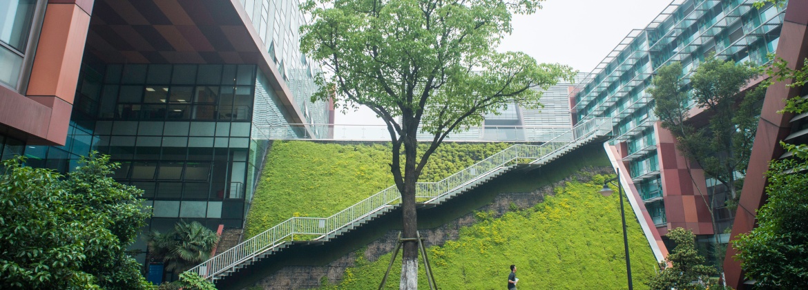 数学物理学院