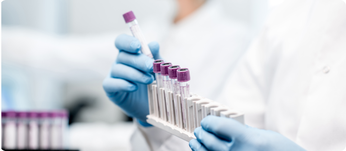 Centres, labs, institutes and schools
