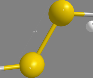 The image shows two round molecules connected with a line to represent a disulfide bond.