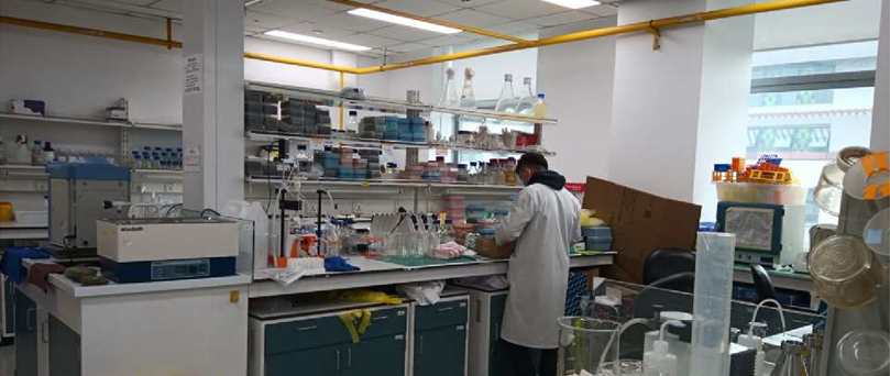 BIO Teaching and Research Labs