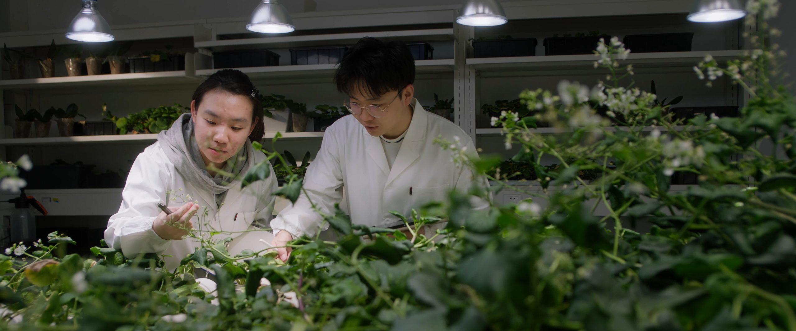 健康与环境科学教学与研究实验室