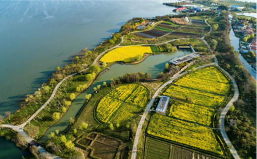 XJTLU Yuefengdao Ecology Station (XYES)