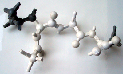 Exploring peptide clumping for improved drug and material solutions