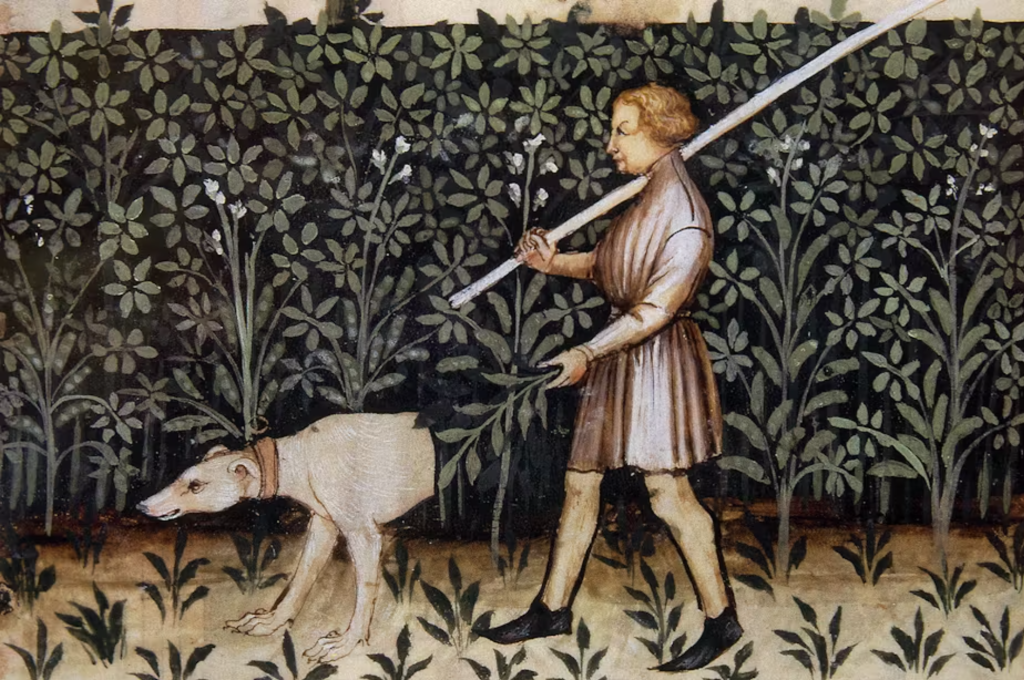 Five common English words we don’t know the origins of – including ‘boy’ and ‘dog’