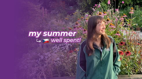 Studying digital marketing in the Czech Republic: My summer well spent