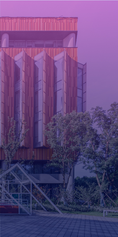 AI: Education and Experience