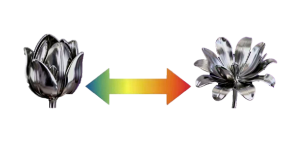 Dynamic Brooch Innovation 动态胸针创新