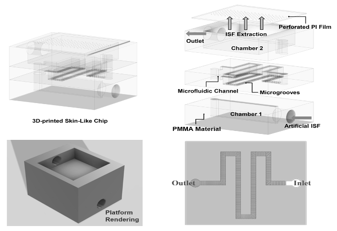 基于微流控技术的类皮肤芯片模拟平台