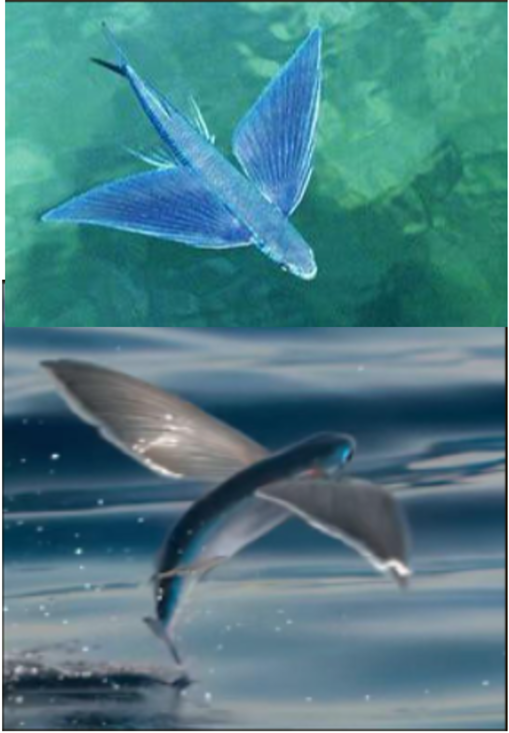 FunJourney ¦ 泛江 