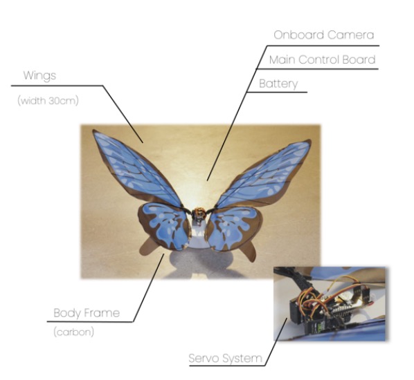 βutterflybionik