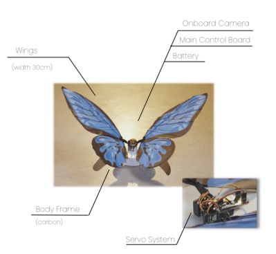  βutterflybionik