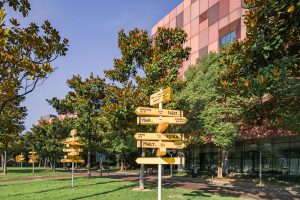 “五星学生支持体系”落地！西浦新增“学习路径导师” 赋能学生个性化成长