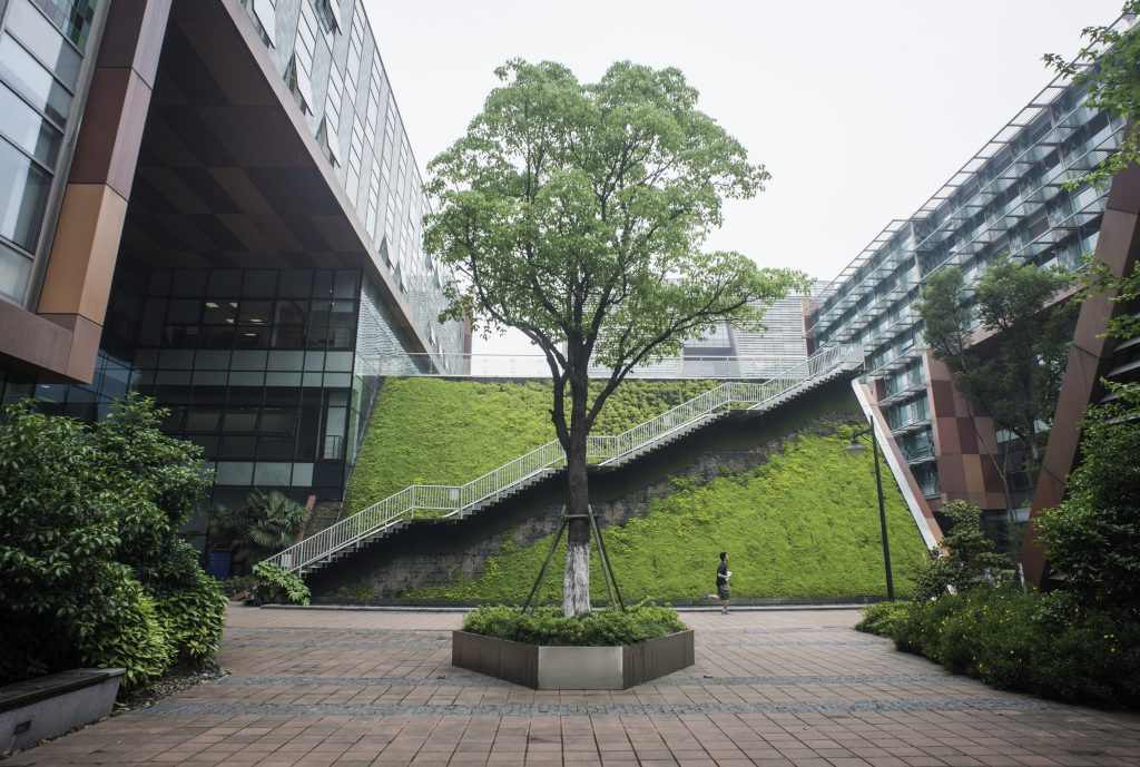 西浦执行校长席酉民教授2012年教师节致辞