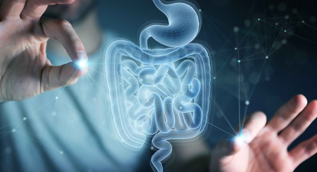 Ready to Learn About Your Gut Health with AI?