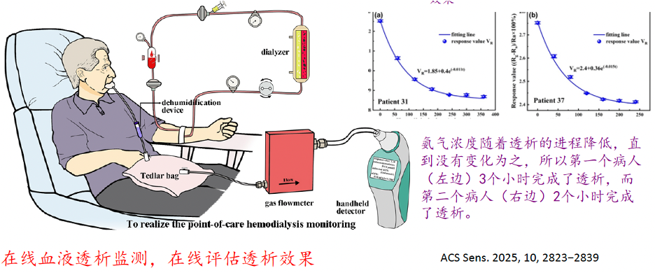 西交利物浦大学科研团队研发超灵敏“电子鼻”：实现无创医疗监测与跨领域气体分析