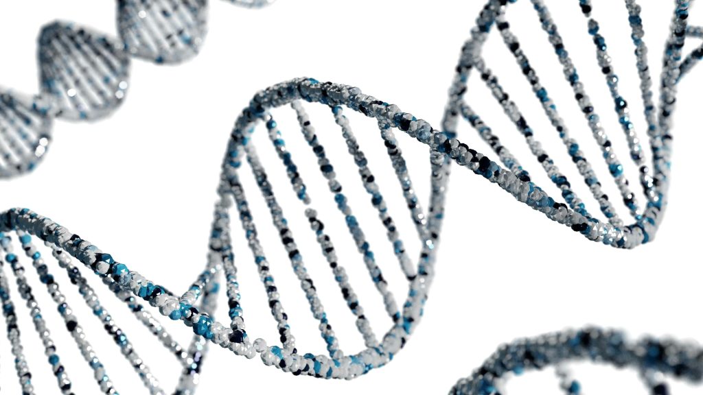 New tool tracks RNA modification dynamics in single cells