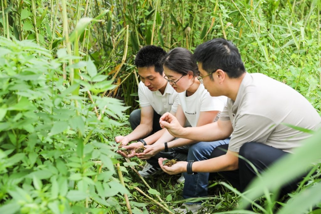 Explores ecological restoration and biodiversity enhancement