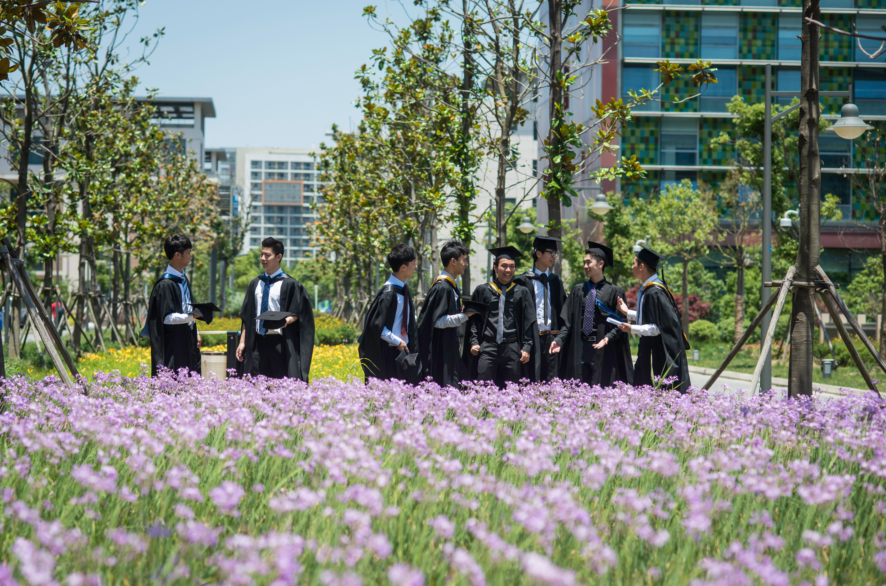 行业学院