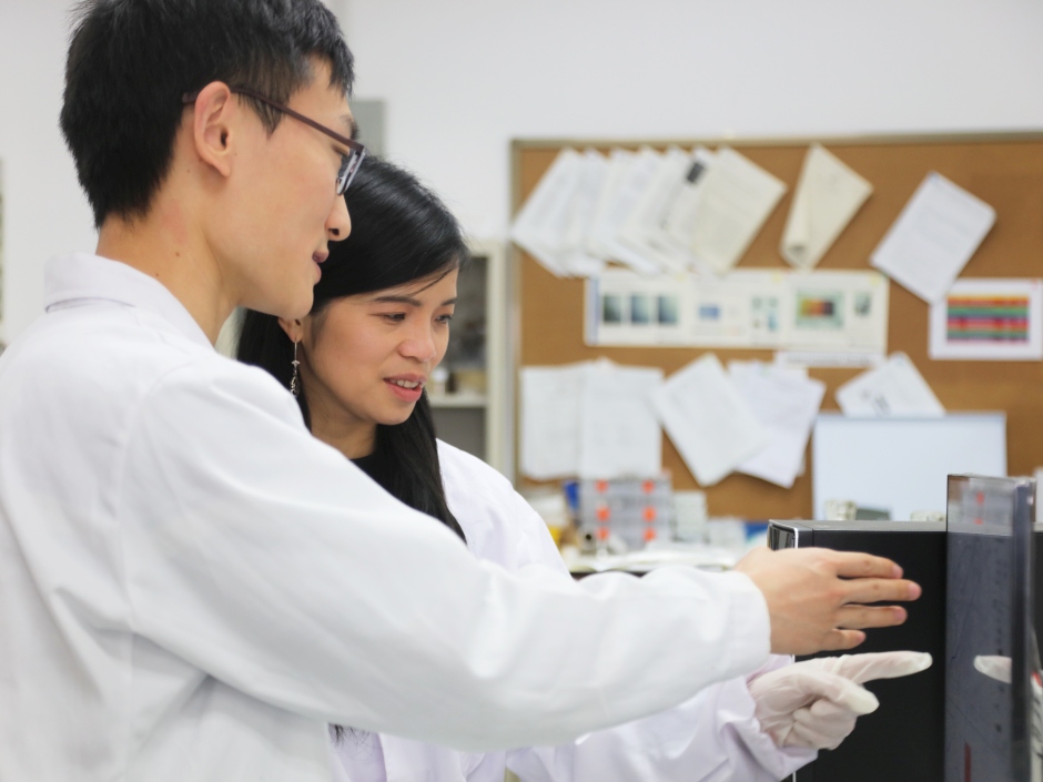 XJTLU academic projects pass professional verification