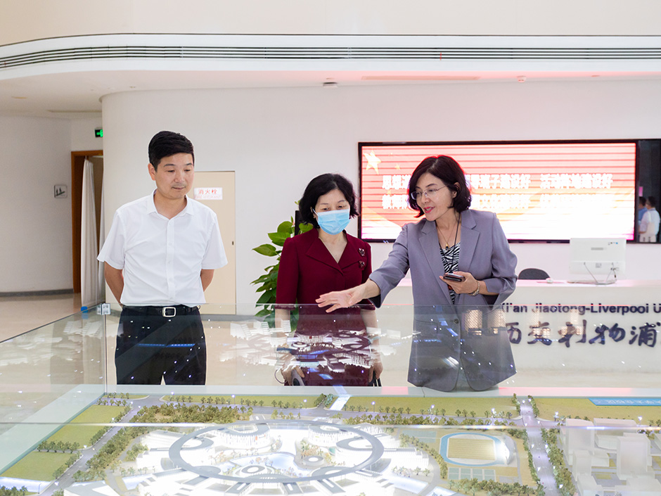 ​人社部国际合作司副司长一行调研西浦