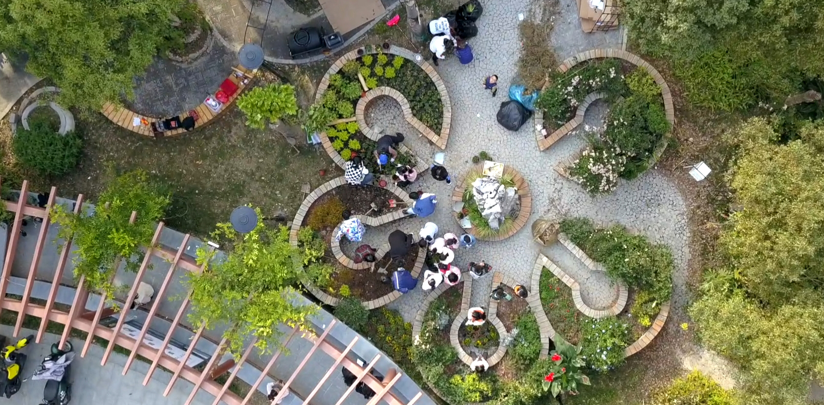 西浦师生赋能社区花园：凝聚社区居民 打造绿色生活