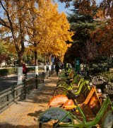 Processed with VSCO with kk2 preset