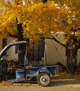                                Processed with VSCO with l10 preset