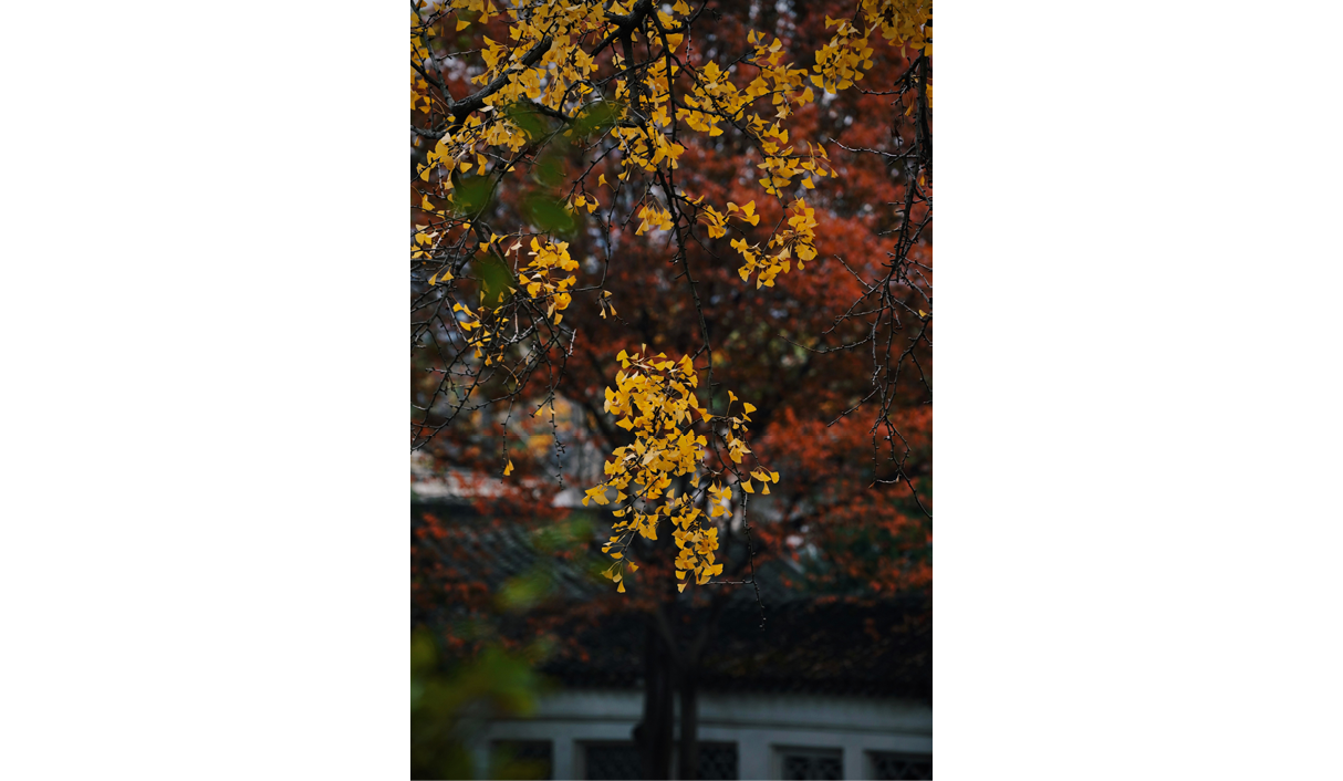                                Processed with VSCO with c6 preset