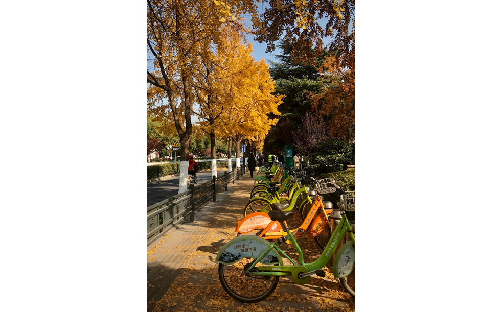 Processed with VSCO with kk2 preset