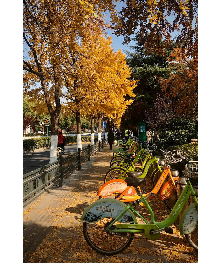 Processed with VSCO with kk2 preset