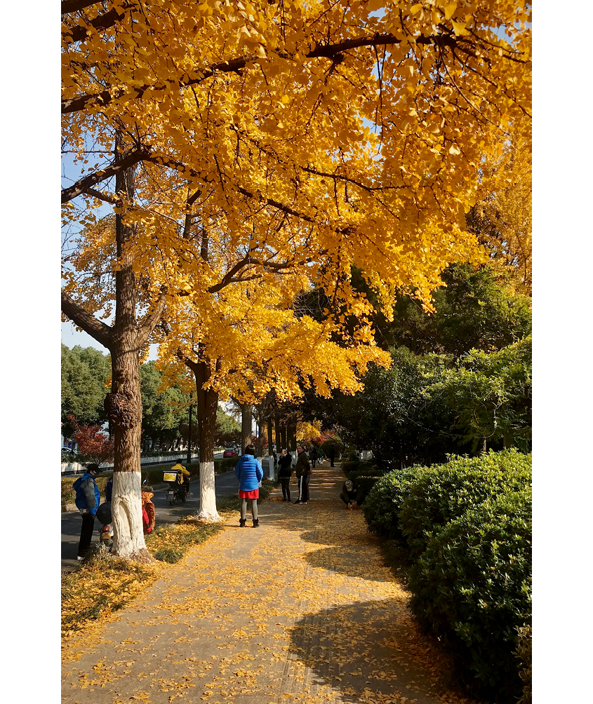 Processed with VSCO with kk2 preset