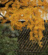                                Processed with VSCO with j6 preset